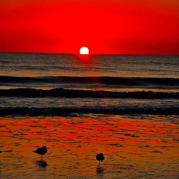 Meet your Posher, Ashemi G - Picture 1 of 1